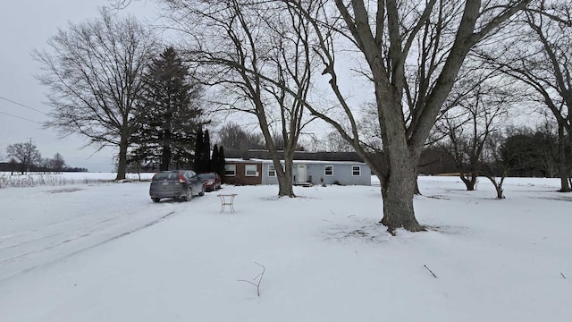 view of yard layered in snow