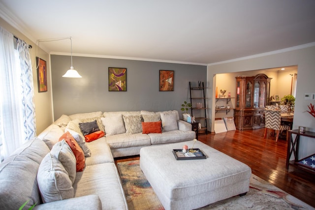 living room with wood-type flooring and crown molding