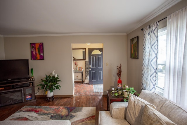 living room featuring dark wood-type flooring and crown molding