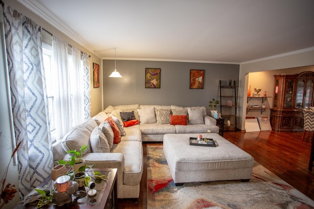 living room with crown molding and wood-type flooring