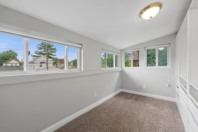 interior space with carpet flooring and vaulted ceiling