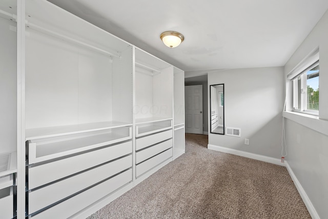 spacious closet featuring carpet floors