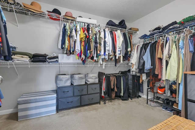 spacious closet with light colored carpet