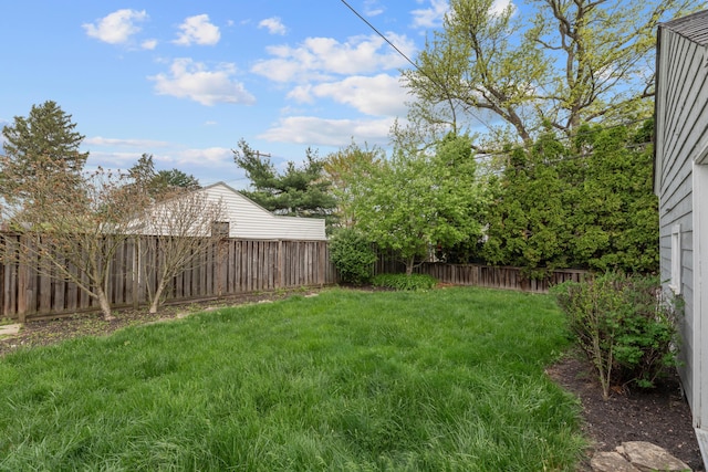 view of yard featuring a fenced backyard