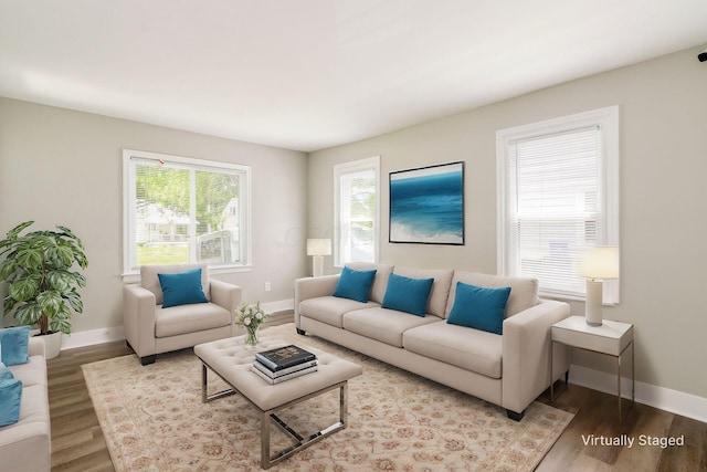 living room featuring hardwood / wood-style flooring