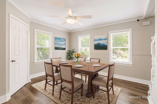 dining area with ornamental molding, a healthy amount of sunlight, dark wood-type flooring, and ceiling fan