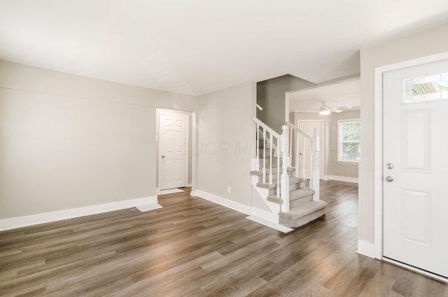 foyer entrance featuring dark hardwood / wood-style flooring