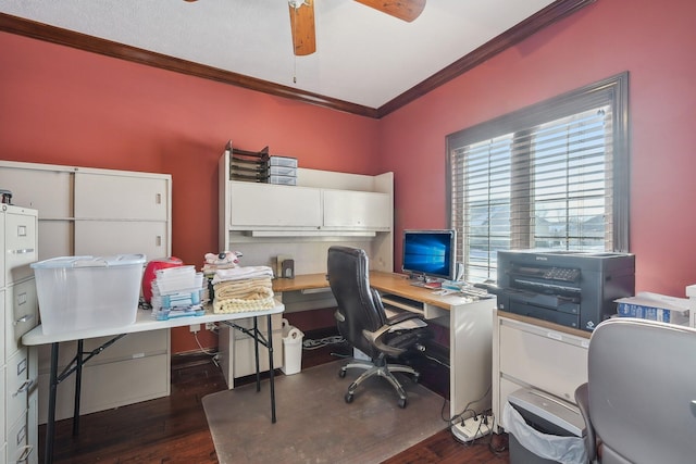 office featuring dark hardwood / wood-style flooring, ornamental molding, and ceiling fan