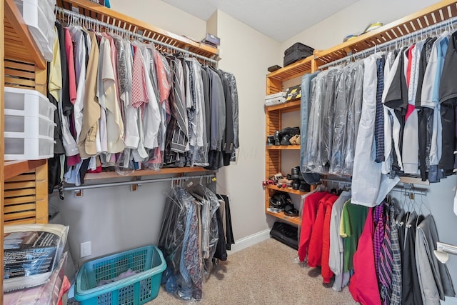 walk in closet featuring light carpet