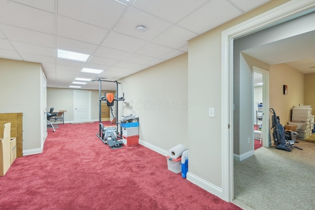 workout room with a drop ceiling and carpet