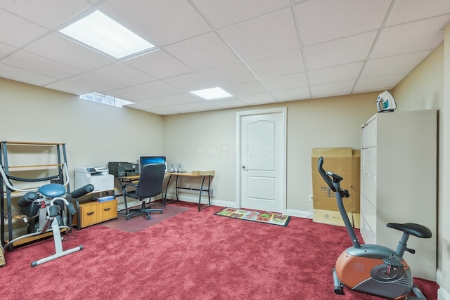 carpeted home office with a paneled ceiling