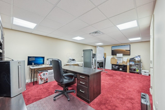 office space featuring carpet flooring and a drop ceiling