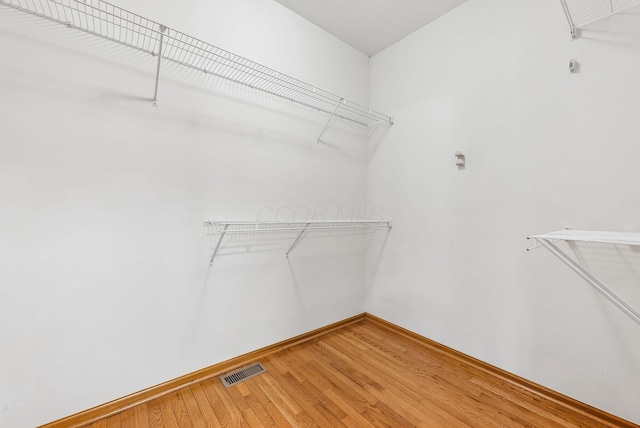 spacious closet featuring wood-type flooring