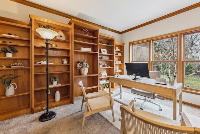 office featuring light carpet and crown molding