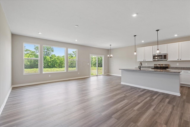 1233 Heathgate Way, Fairborn, OH 45324 - kitchen featuring stainless steel appliances, wood finished floors, recessed lighting, and open floor plan