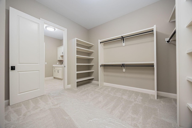 spacious closet featuring light colored carpet