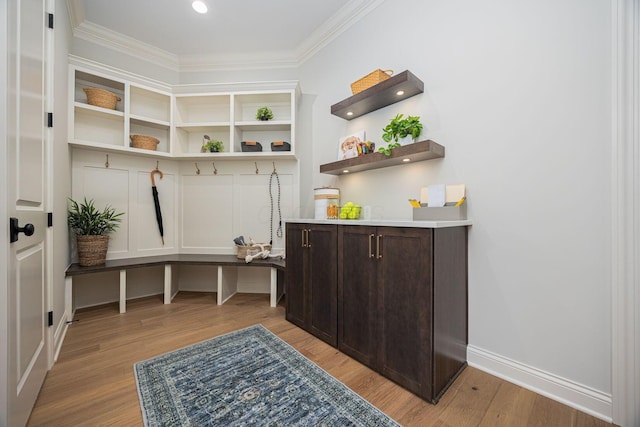 mudroom featuring ornamental molding and light wood-type flooring