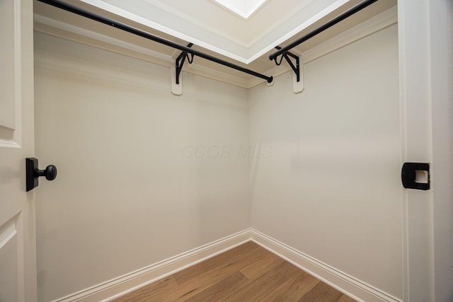 walk in closet featuring wood-type flooring