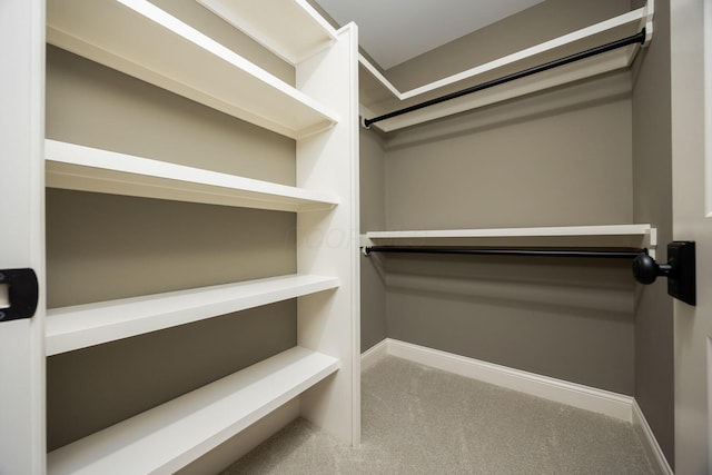 spacious closet featuring carpet