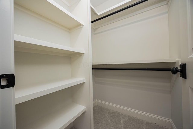 spacious closet featuring carpet flooring