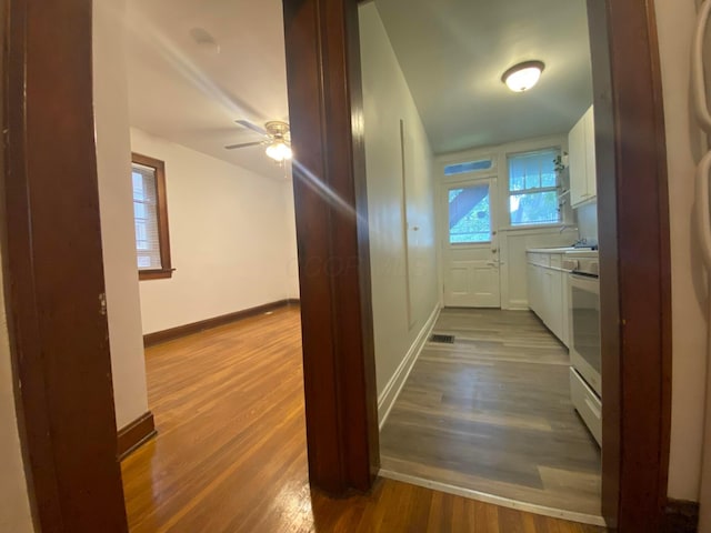 hall featuring wood-type flooring