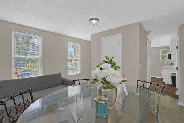 dining room with hardwood / wood-style floors and a textured ceiling