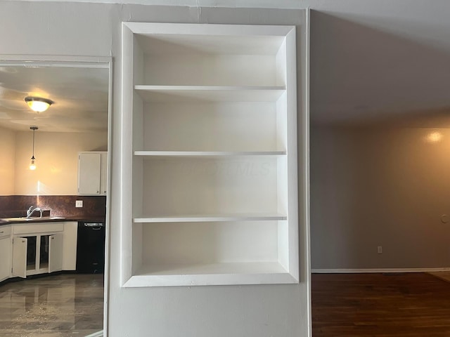 closet with a sink