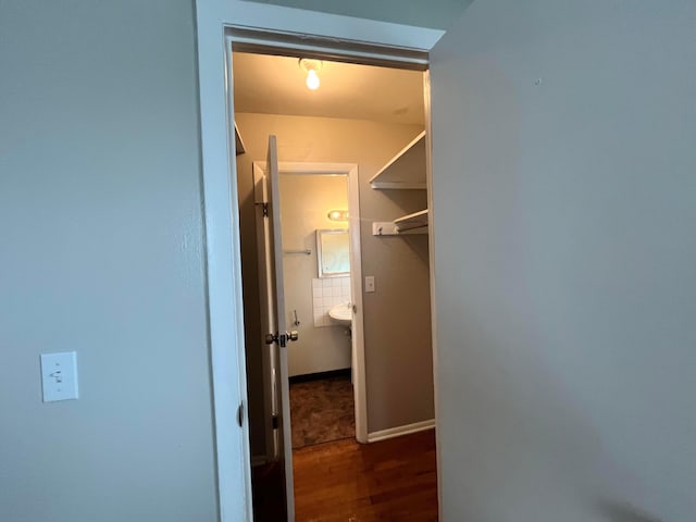 spacious closet featuring wood finished floors