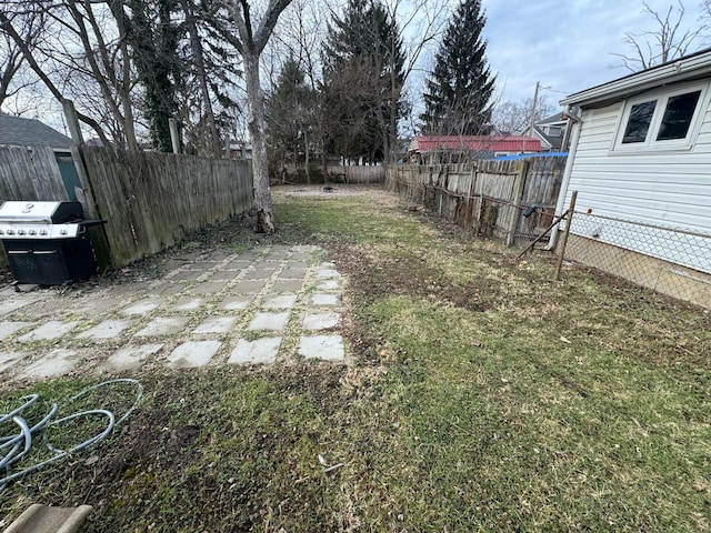 view of yard with a patio