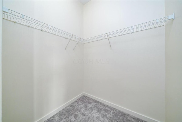 spacious closet with carpet