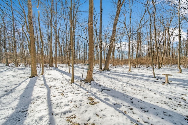 view of yard covered in snow