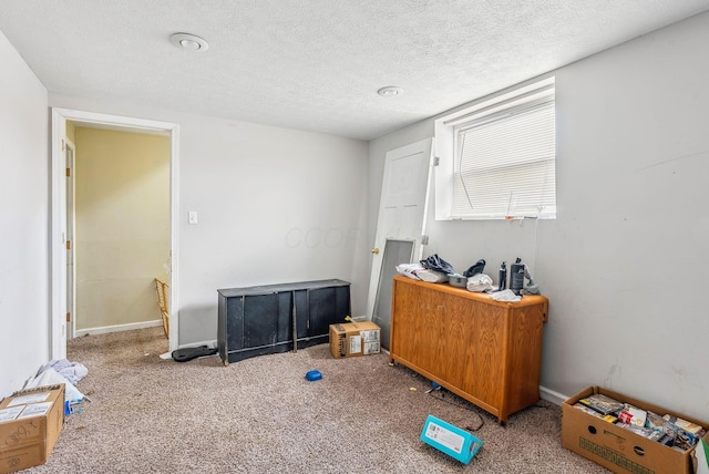 miscellaneous room featuring carpet flooring and a textured ceiling