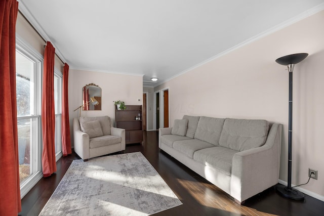 living room with ornamental molding and dark hardwood / wood-style flooring