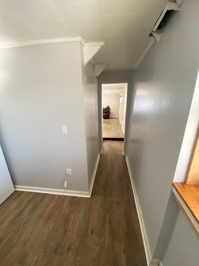 hall with ornamental molding and dark wood-type flooring