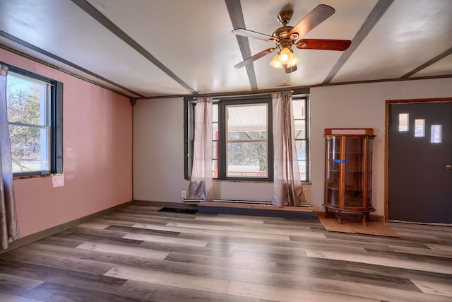 entrance foyer featuring hardwood / wood-style flooring and ceiling fan