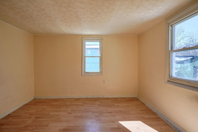 empty room featuring a healthy amount of sunlight and light hardwood / wood-style flooring