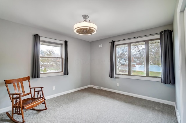 sitting room with carpet floors