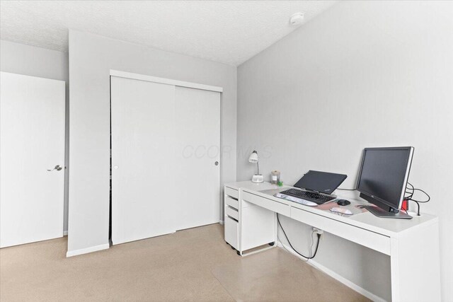 home office featuring light colored carpet and a textured ceiling