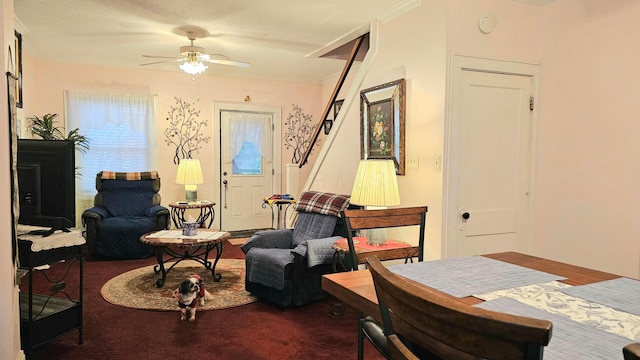 living area featuring ceiling fan and ornamental molding