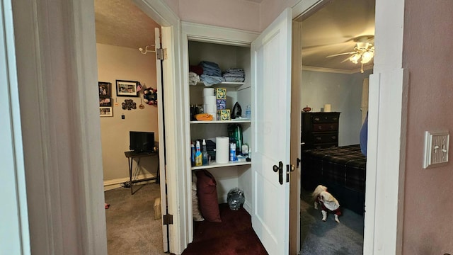 corridor with crown molding and carpet