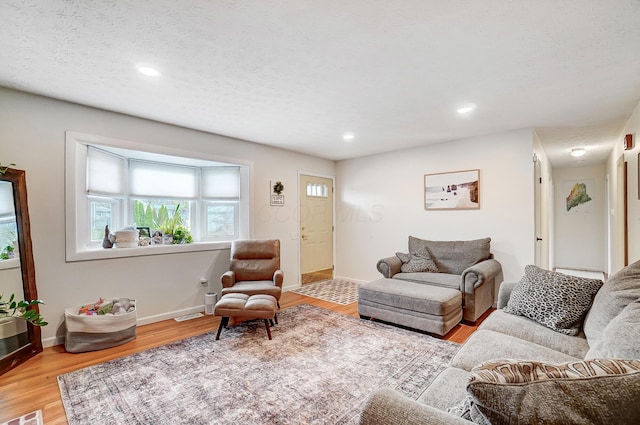 living room featuring wood-type flooring and a textured ceiling