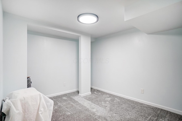 basement featuring carpet floors