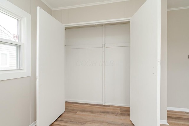 view of closet