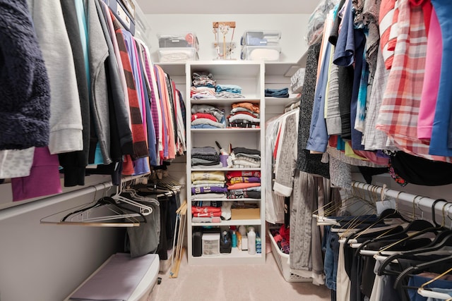 spacious closet with carpet flooring