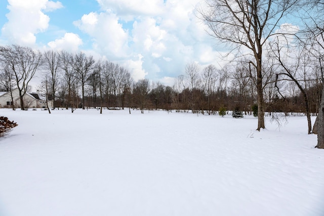 view of snowy yard