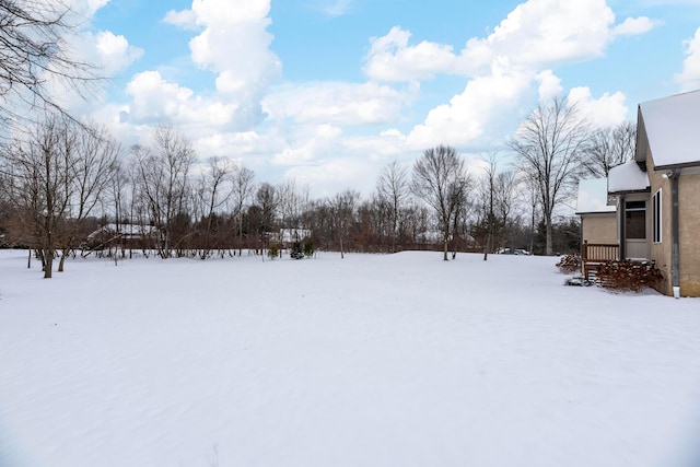 view of snowy yard