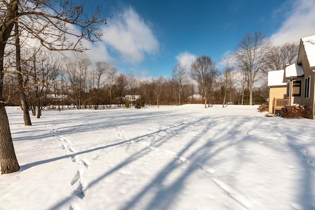 view of yard covered in snow