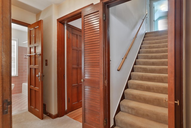 staircase with carpet flooring