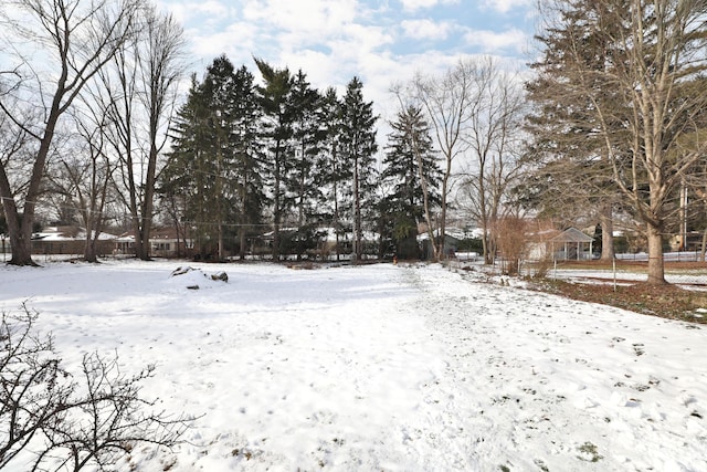 view of yard covered in snow