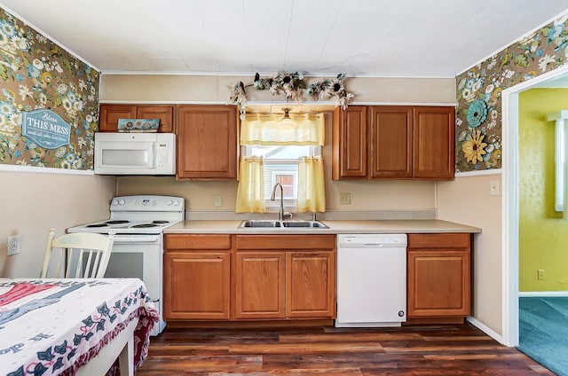 kitchen featuring sink, white appliances, and dark hardwood / wood-style floors